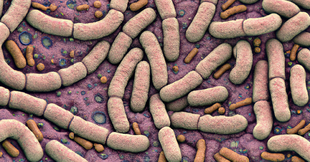 The role of diet in the health of the intestinal microbiota: the recipe for an anti-inflammatory soup