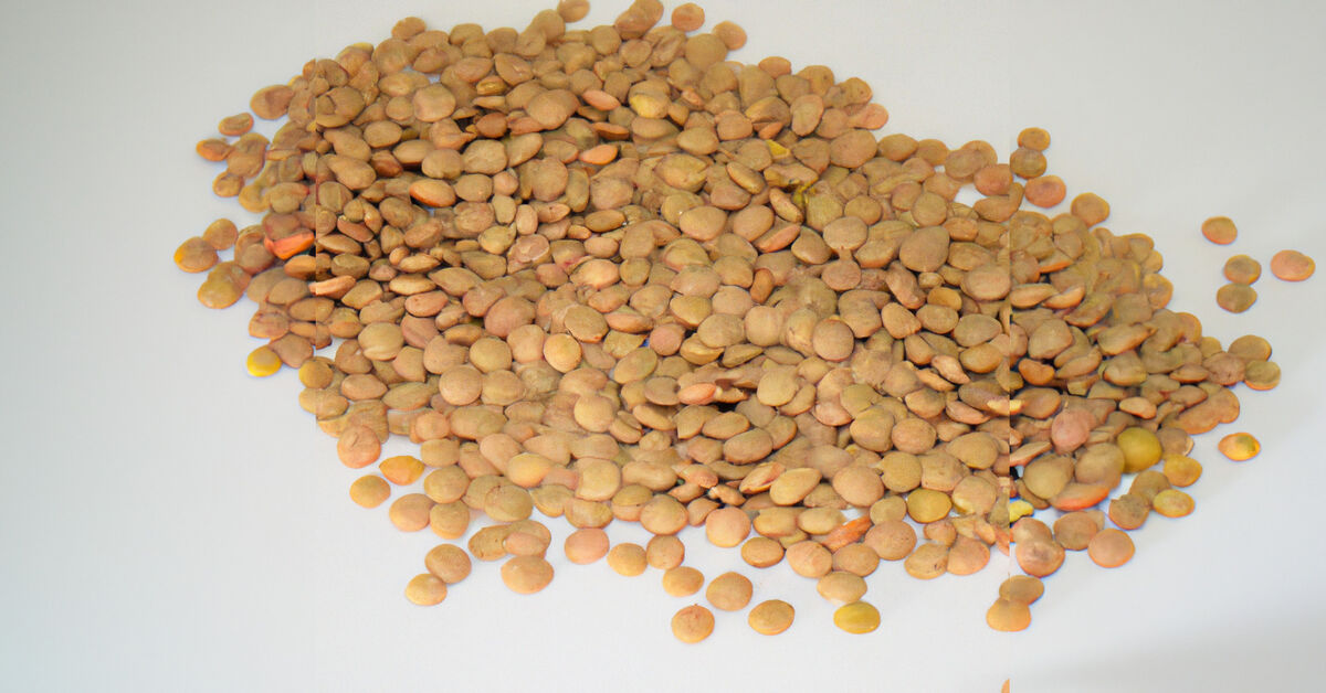 Lentils: the healthy and tasty superfood to include in your diet