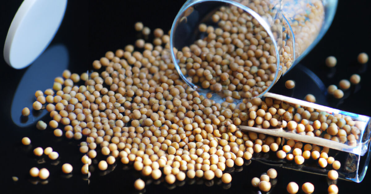 The power of soy: the secret to lowering cholesterol and improving your health